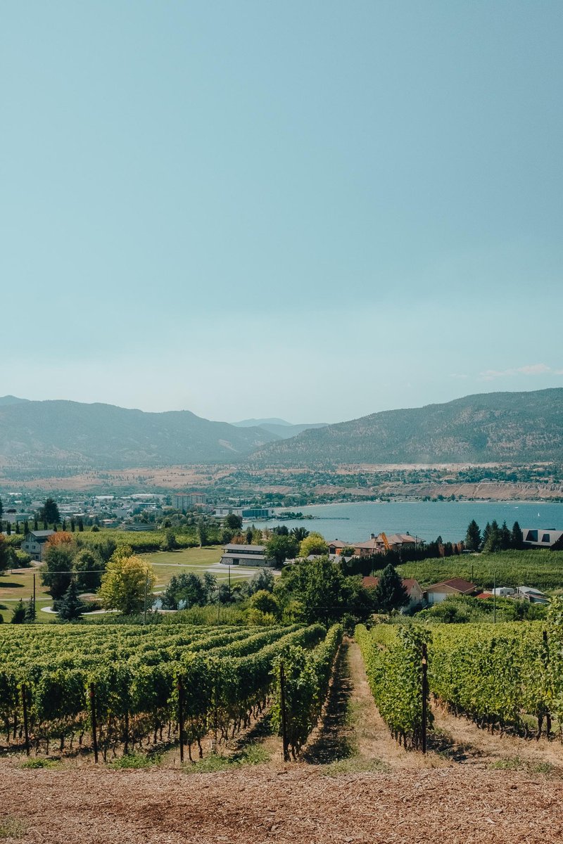 Okanagan landscape